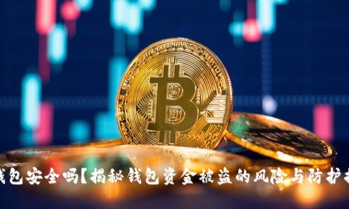 TP钱包安全吗？揭秘钱包资金被盗的风险与防护措施