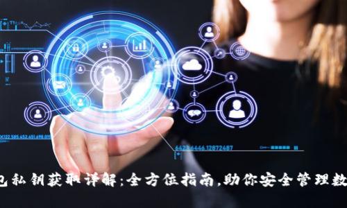 t p钱包私钥获取详解：全方位指南，助你安全管理数字资产