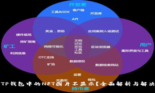 为何TP钱包中的NFT图片不显示？全面解析与解决方案