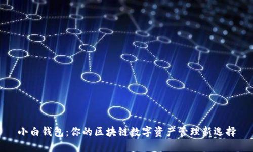 小白钱包：你的区块链数字资产管理新选择