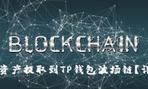 如何将数字资产提取到TP钱包波场链?详细步骤解析