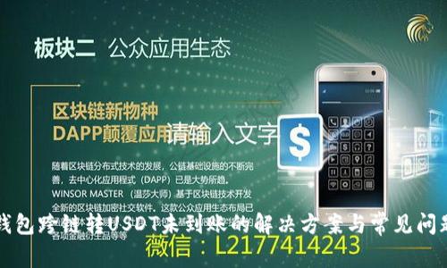 偏TP钱包跨链转USDT未到账的解决方案与常见问题解析