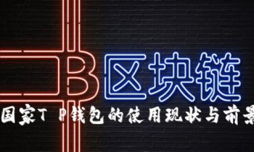 中东国家T P钱包的使用现状与前景分析