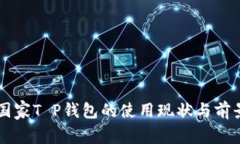 中东国家T P钱包的使用现状与前景分析