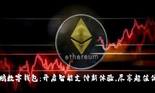 大鹏数字钱包：开启智能支付新体验，尽享超值优惠
