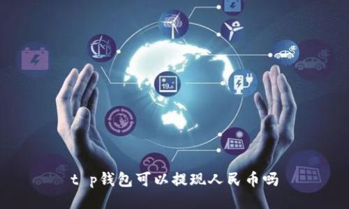 t p钱包可以提现人民币吗