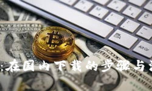 t p钱包:在国内下载的步骤与注意事项