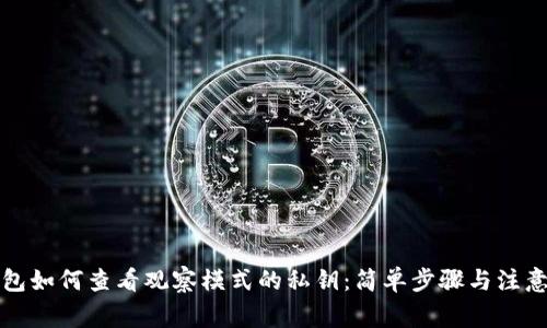 TP钱包如何查看观察模式的私钥:简单步骤与注意事项