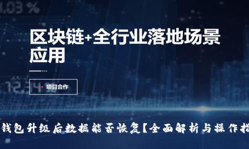 TP钱包升级后数据能否恢复？全面解析与操作指南