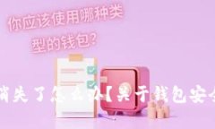 TP钱包里的币突然消失了怎么办？关于