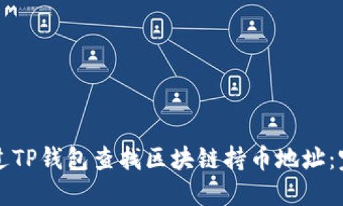 如何通过TP钱包查找区块链持币地址:完整指南