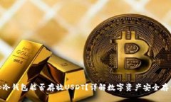 tp冷钱包能否存放USDT？详解数字资产安