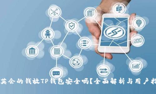 华英会的钱放TP钱包安全吗？全面解析与用户指南