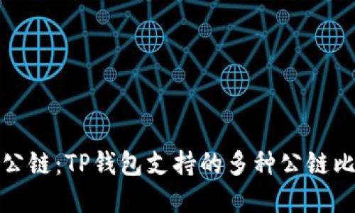 选择最佳公链:TP钱包支持的多种公链比较与推荐