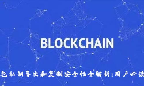 TP钱包私钥导出和复制安全性全解析:用户必读指南