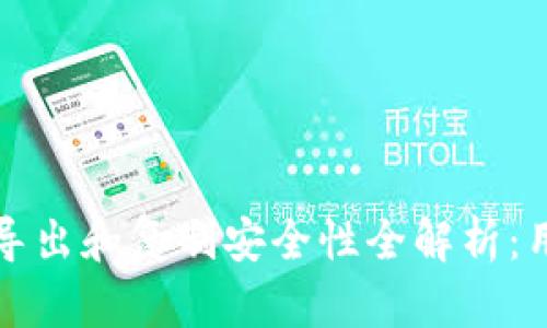 TP钱包私钥导出和复制安全性全解析:用户必读指南
