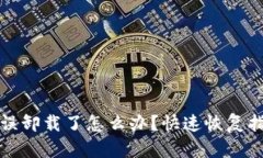 TP钱包被误卸载了怎么办？快速恢复指