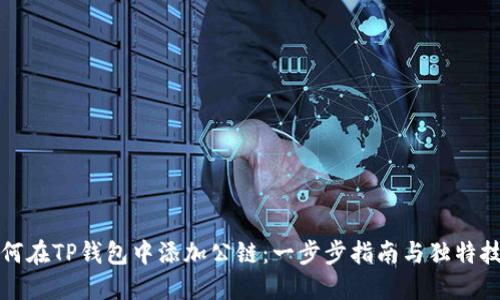 如何在TP钱包中添加公链：一步步指南与独特技巧