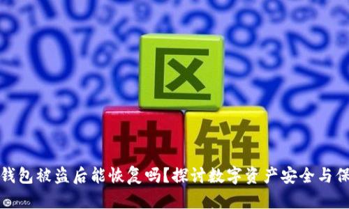 TP钱包被盗后能恢复吗?探讨数字资产安全与保障