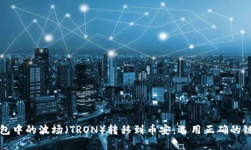 如何将TP钱包中的波场(TRON)转移到币安:选用正确的链与步骤解析