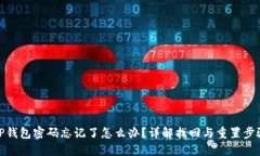 TP钱包密码忘记了怎么办？详解找回与