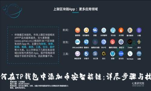 如何在TP钱包中添加币安智能链:详尽步骤与技巧