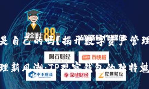 TP观察钱包是自己的吗？揭开数字资产管理的神秘面纱

数字资产管理新风潮：TP观察钱包的独特魅力
