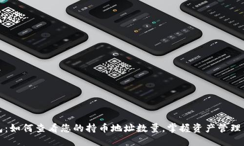 TP钱包：如何查看您的持币地址数量，掌握资产管理新技巧