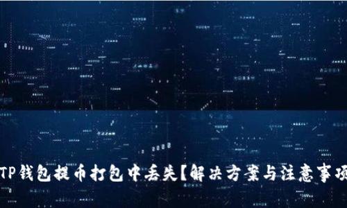 TP钱包提币打包中丢失?解决方案与注意事项