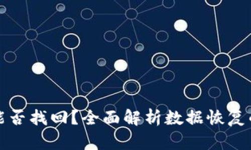 TP钱包删除能否找回?全面解析数据恢复的方法与技巧