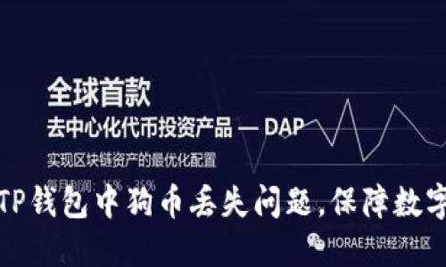 如何解决TP钱包中狗币丢失问题，保障数字资产安全