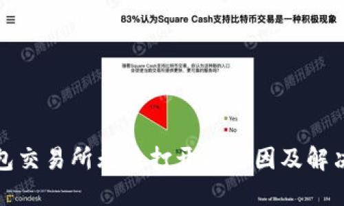 TP钱包交易所无法打开的原因及解决方案