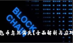 TP钱包币忽然消失？全面解析与应对方