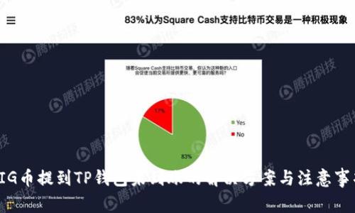 PIG币提到TP钱包未到账的解决方案与注意事项