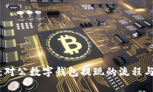 全面解析：对公数字钱包提现的流程与注意事项