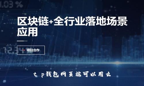 t p钱包网页端可以用么