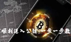 TP钱包如何顺利进入公链：一步一步教