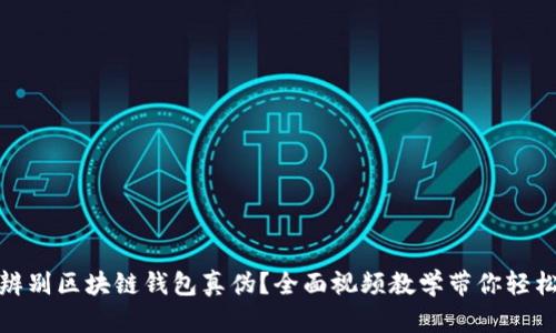 如何辨别区块链钱包真伪?全面视频教学带你轻松掌握