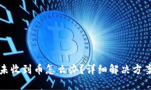 TP钱包闪兑未收到币怎么办?详细解决方案与应对技巧