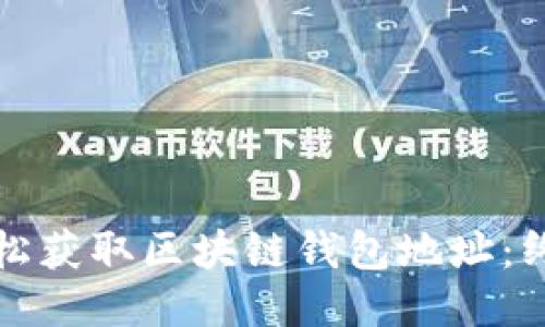 如何轻松获取区块链钱包地址：终极指南