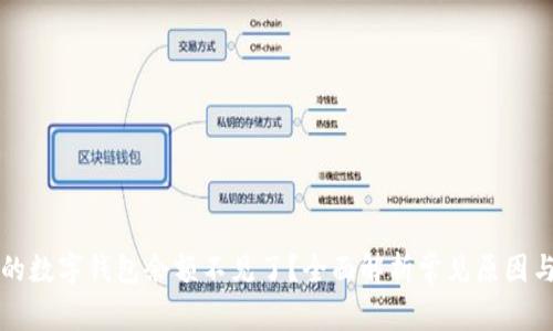 为什么我的数字钱包余额不见了？全面解析常见原因与解决方案