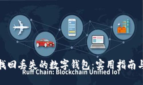 如何成功找回丢失的数字钱包:实用指南与关键步骤