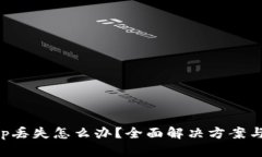 TP钱包App丢失怎么办？全面解决方案与