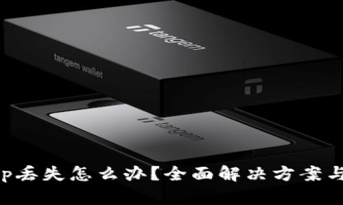 TP钱包App丢失怎么办？全面解决方案与操作指南