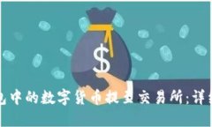 如何将TP钱包中的数字货币提至交易所