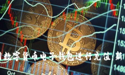 如何有效利用数字货币电子钱包进行充值：新手指南与技巧