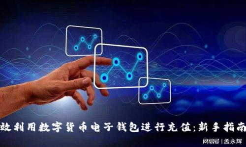 如何有效利用数字货币电子钱包进行充值：新手指南与技巧