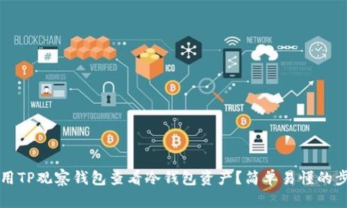 如何使用TP观察钱包查看冷钱包资产?简单易懂的步骤解析