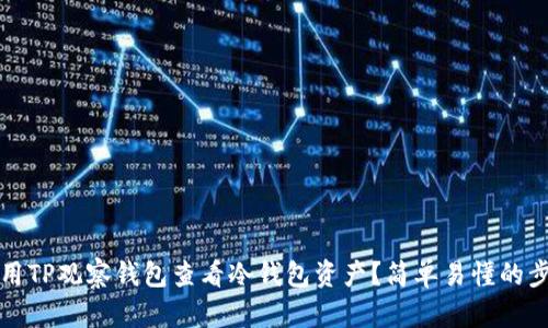 如何使用TP观察钱包查看冷钱包资产?简单易懂的步骤解析