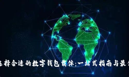 如何选择合适的数字钱包载体:一站式指南与最佳推荐
